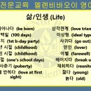 비바교육 네이버블로그