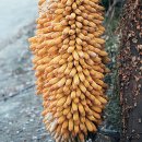 월송천 월송 1교량 | 울진, 선재길, 정선,영덕,부안(내소사,월명암)여행