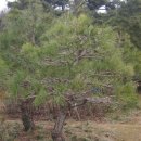 오륜농장 이미지