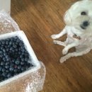 갈마농원 이미지