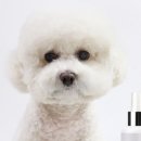 네추럴 그루밍 이미지