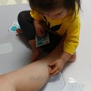 21세기건강약국 이미지