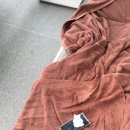 나인트리