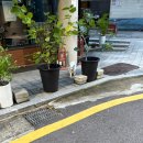 안경만들기사천점 | 11월 너나 해