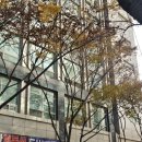 양운로 87 이미지