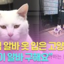 동네편의점 이미지