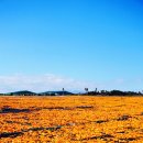 신천목장 이미지