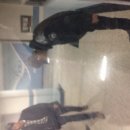 보라아파트 이미지