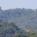 DMZ 폭발사고 25사단 대위 숙소에서 사망 이미지