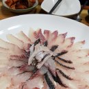 영빈회센타 이미지