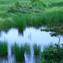 서귀포 보조기구대여센터 이미지