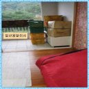 삼일화물 이미지