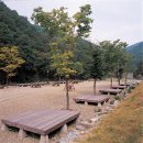 금봉자연휴양림 이미지