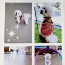 개린이보호구역 이미지