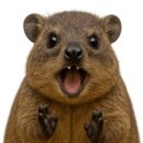 카페 태도 이미지