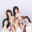 나인 bnt뉴스