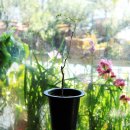 생명나무약국 이미지