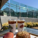 스테이인터뷰 대천 이미지