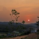 대공원광장대로 이미지