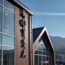 수지애견 이미지