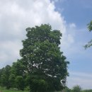 여강길(3-1코스 강천섬길) 이미지