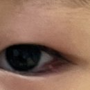 유망안과의원 이미지