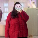 The콕 | [뜨개기록] 정말 늦은 시빌라 테스트니팅 후기 + 대역죄인 김청콕 (Cookie the Knitter_Sibilla Cardigan)