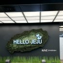 한담 애 | 계절/숙성도/제주유채꽃도로/표선해수욕장/아침미소목장/한담해안산책로/꽃귤농장/송악산둘레길/런던...