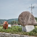 양평 옹달샘꽃누름마을 이미지