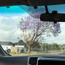 기린주유소 | 그란 멜리아 아루샤 | 탄자니아 5박 6일 신혼여행 아루샤 숙소 후기