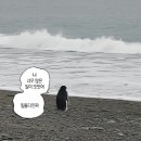 하루하루30족발 이미지