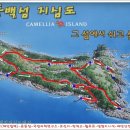 현대코아사거리 현대코아방향 이미지