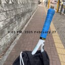 로욜스포츠