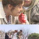 전원생활 MBC연예