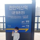 유리카모메모다식당