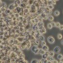 천인지한의원 이미지