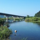 금호공원 맞은편 이미지