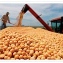 대한바이오피드 이미지