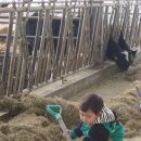 샘뜰목장 이미지