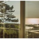 해수욕장언덕위펜션 이미지