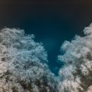 꽃봉산 아래 이미지