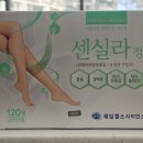 연세코끼리약국 이미지