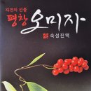 평창오미자영농조합법인 | 자연의선물 평창오미자 숙성진액