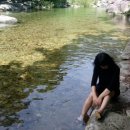 미시령선바위 이미지