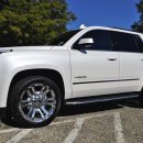 영 Motors 이미지