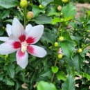 다원펜션 이미지