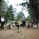 산책가는날 이미지