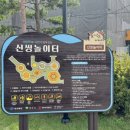신씽놀이터 이미지
