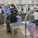 그루밍 펫 뷰티샵 | 여주애견미용학원: 애견미용 처음 시작부터 자격증까지! 내 실전 취득 후기