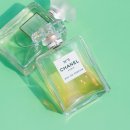 베이비파우더향수 추천, 샤넬 NO.5 찐 반응 후기